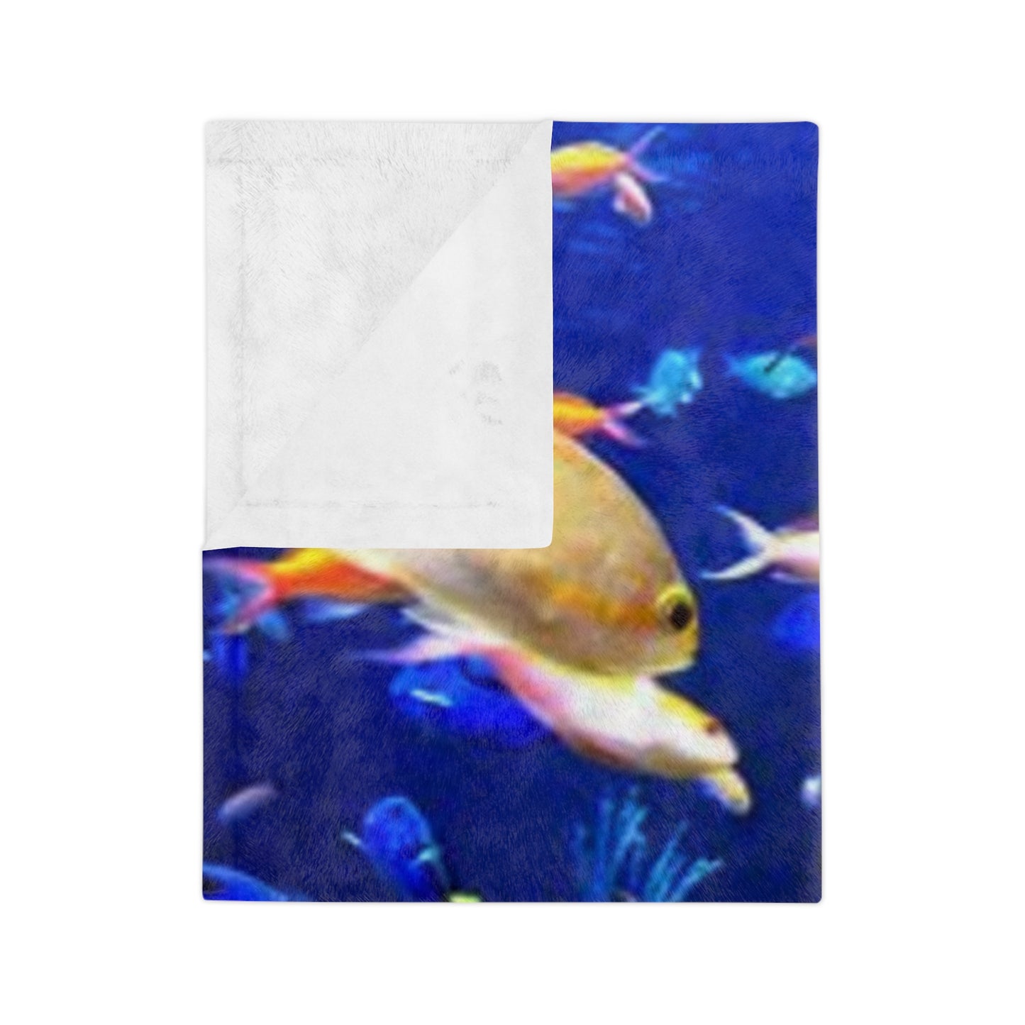Fish Velveteen Microfiber Blanket