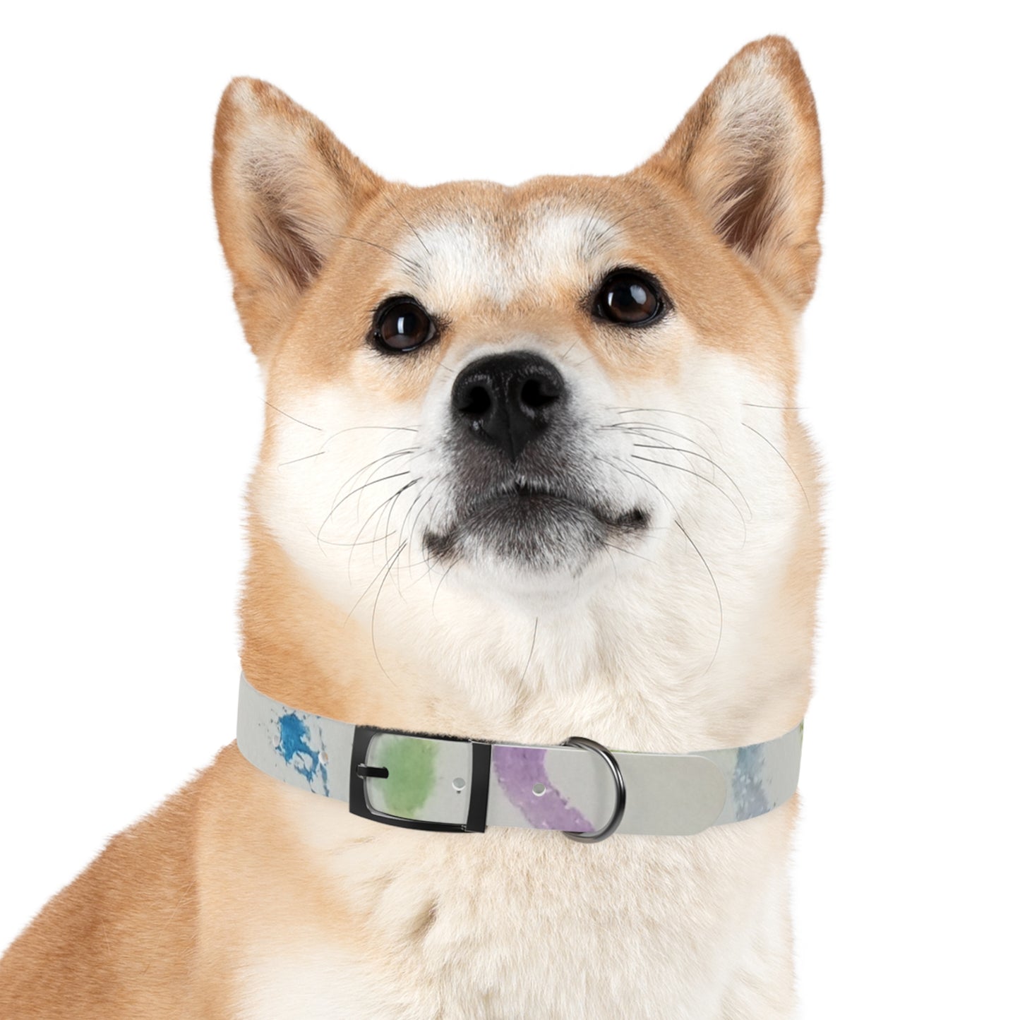 Abstract Art Dog Collar