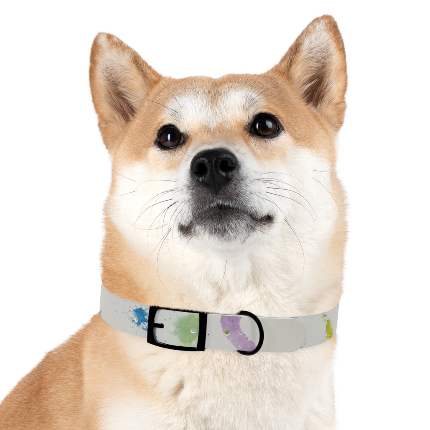 Abstract Art Dog Collar