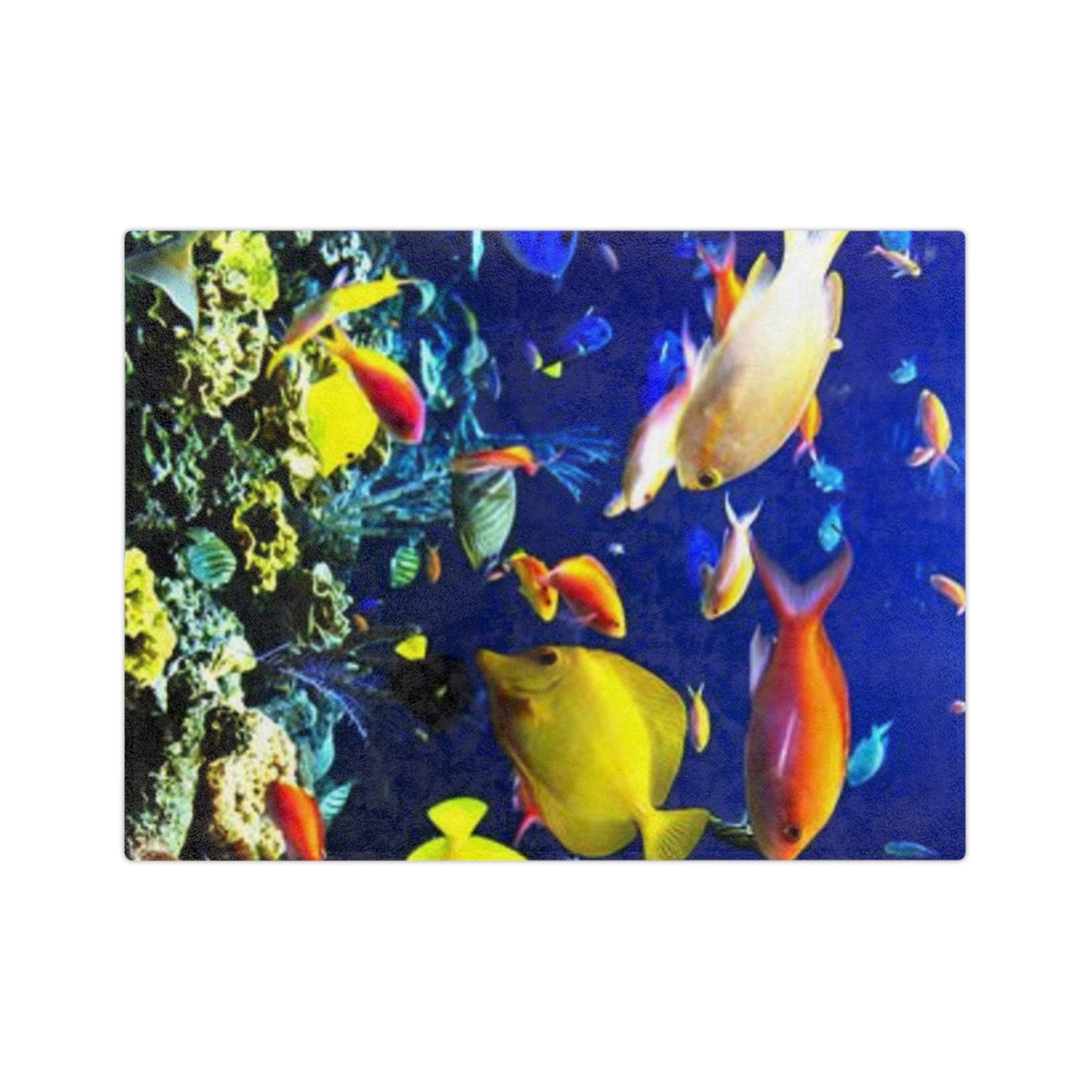 Fish Velveteen Microfiber Blanket